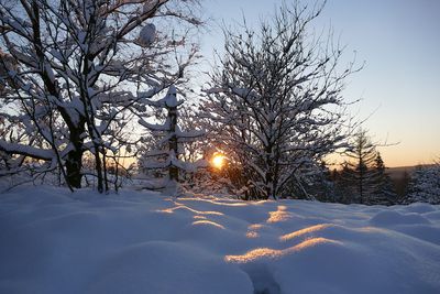 Winterlandschaften in OWL